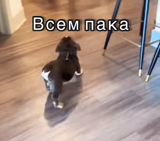 😉 Стикер «Хочу в отпуск» для Telegram