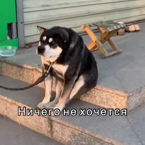 😩 Стикер «Хочу в отпуск» для Telegram