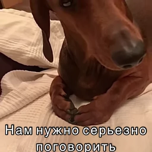 🤔 Стикер «Хочу в отпуск» для Telegram