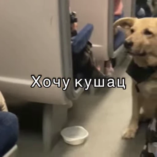 🤤 Стикер «Хочу в отпуск» для Telegram