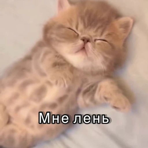 😂 Стикер «Хочу в отпуск» для Telegram