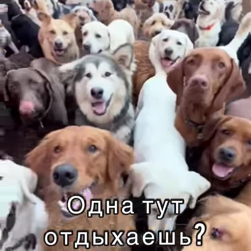 😏 Стикер «Хочу в отпуск» для Telegram