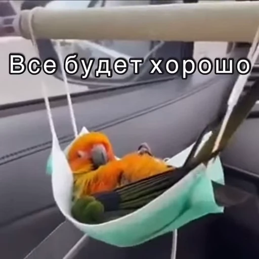 👌 Стикер «Хочу в отпуск» для Telegram