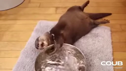 🚰 Стикер «OTTERS» для Telegram