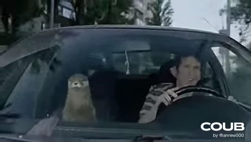 🚓 Стикер «OTTERS» для Telegram