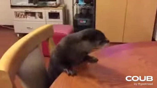 👿 Стикер «OTTERS» для Telegram