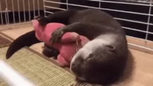 🐷 Стикер «OTTERS» для Telegram