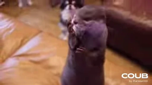 🥰 Стикер «OTTERS» для Telegram