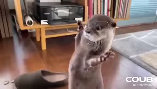 💃 Стикер «OTTERS» для Telegram