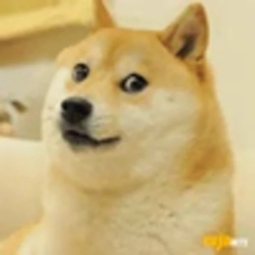 🐶 Эмодзи «видеоэнимал» для Telegram