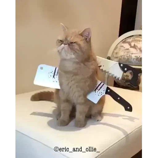 Стикер 15 Video pack