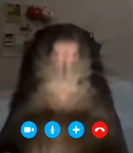 🐭 Стикер «VIDEOPIZDA» для Telegram