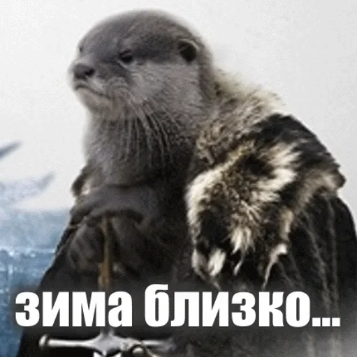 😆 Стикер «Выдра тоже любит» для Telegram
