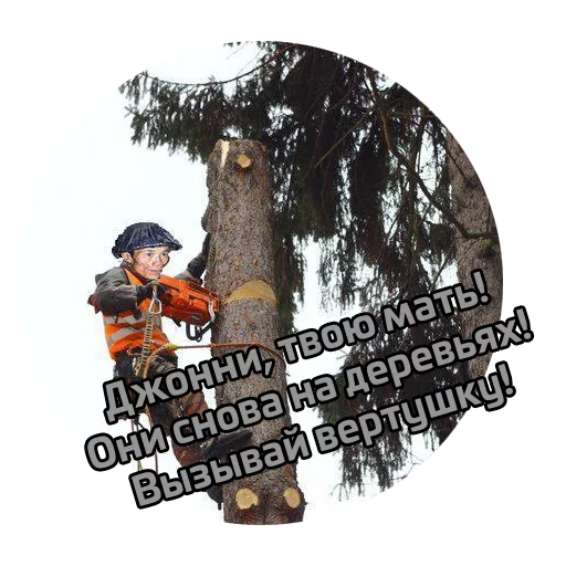 🌳 Стикер «Vietcong» для Telegram