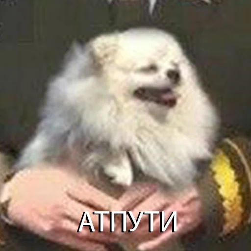 😰 Стикер «VIEZDY» для Telegram
