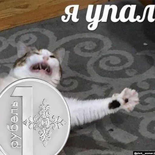 🧑‍🦽 Стикер «VIEZDY» для Telegram