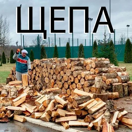 🌲 Стикер «VIEZDY» для Telegram