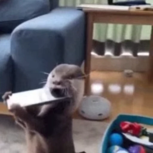 👹 Стикер «Otters Выдры 2» для Telegram