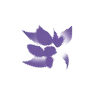 Стикер 3 violet magic