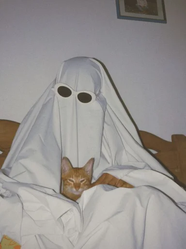 🐈 Стикер «Vimbing ghost» для Telegram
