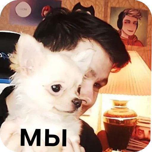 🫧 Стикер «винди31» для Telegram