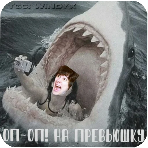 ❤‍🩹 Стикер «винди31» для Telegram