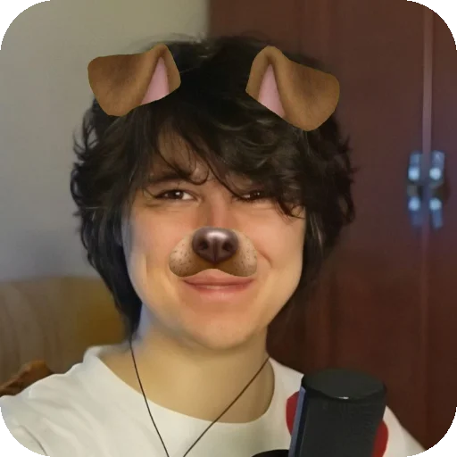 🐶 Стикер «винди31» для Telegram