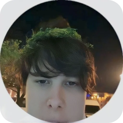 👏 Стикер «винди31» для Telegram
