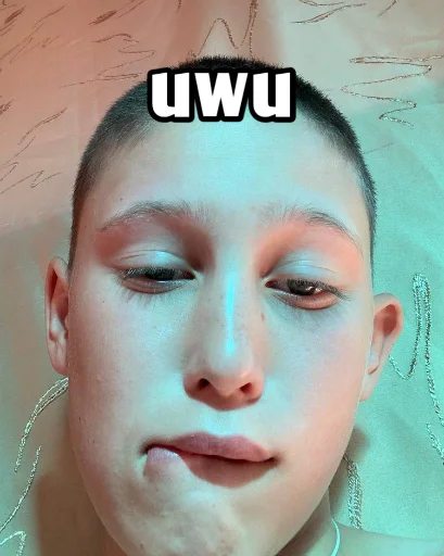 🥵 Стикер «Vini и друзья» для Telegram