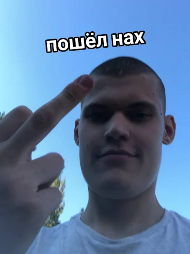 🖕 Стикер «Vini и друзья» для Telegram