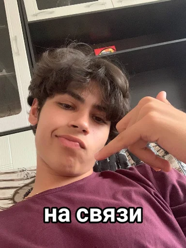 📱 Стикер «Vini и друзья» для Telegram