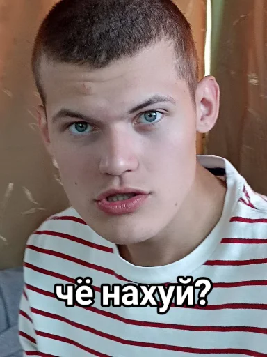 😠 Стикер «Vini и друзья» для Telegram