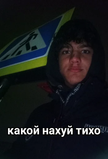 🤫 Стикер «Vini и друзья» для Telegram