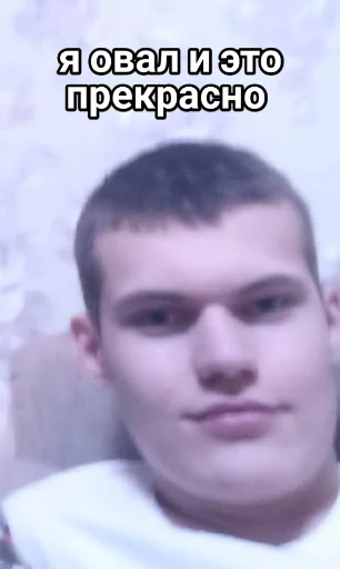 😌 Стикер «Vini и друзья» для Telegram