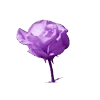 Стикер 35 𝑉𝑖𝑜𝑙𝑒𝑡 𝑀𝑜𝑜𝑛𝑙𝑖𝑔ℎ𝑡