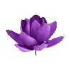 Стикер 25 𝑉𝑖𝑜𝑙𝑒𝑡 𝑀𝑜𝑜𝑛𝑙𝑖𝑔ℎ𝑡