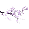 Стикер 55 𝑉𝑖𝑜𝑙𝑒𝑡 𝑀𝑜𝑜𝑛𝑙𝑖𝑔ℎ𝑡