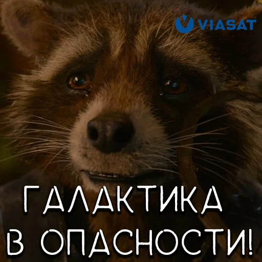 😳 Стикер «ViPak» для Telegram
