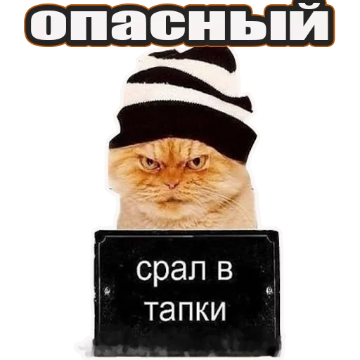 👀 Стикер «Стикеры с канала» для Telegram