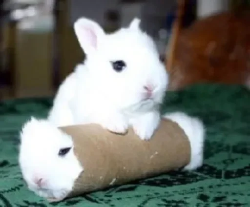 🐰 Стикер «LOVELOVELOVE» для Telegram