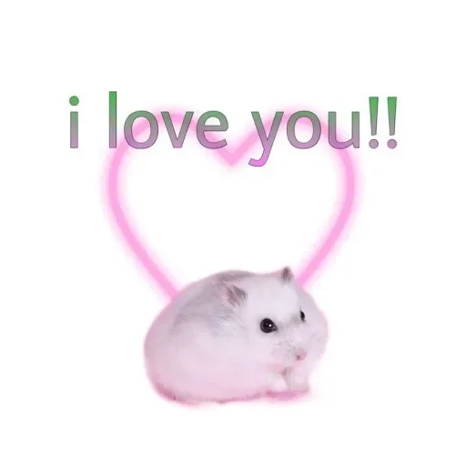 🤍 Стикер «LOVELOVELOVE» для Telegram