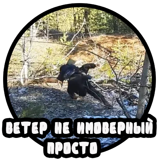 🌬 Стикер «Vizhivalovo» для Telegram