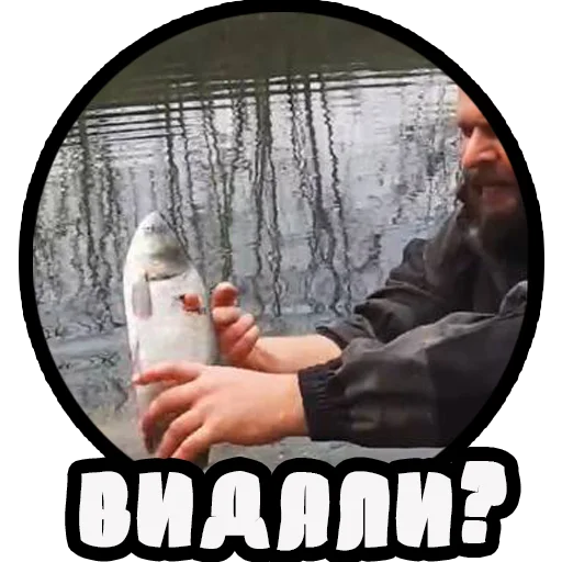 😮 Стикер «Vizhivalovo» для Telegram