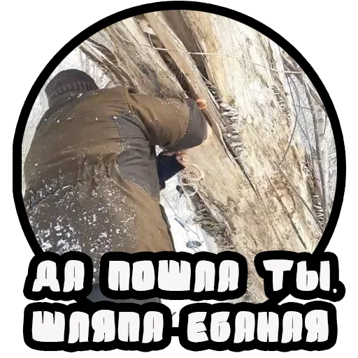 🤬 Стикер «Vizhivalovo» для Telegram
