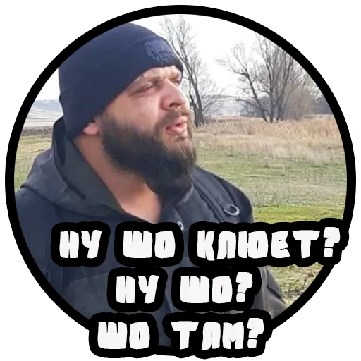 🥸 Стикер «Vizhivalovo» для Telegram