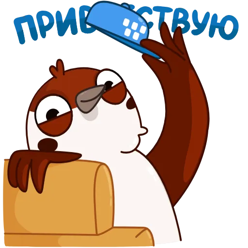 Обложка набора Sparrow Taxi Driver