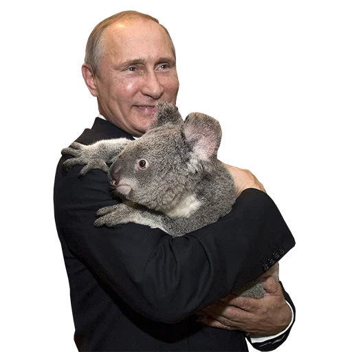 🐨 Стикер «Vladimir Putin» для Telegram