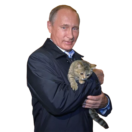 🐱 Стикер «Vladimir Putin» для Telegram