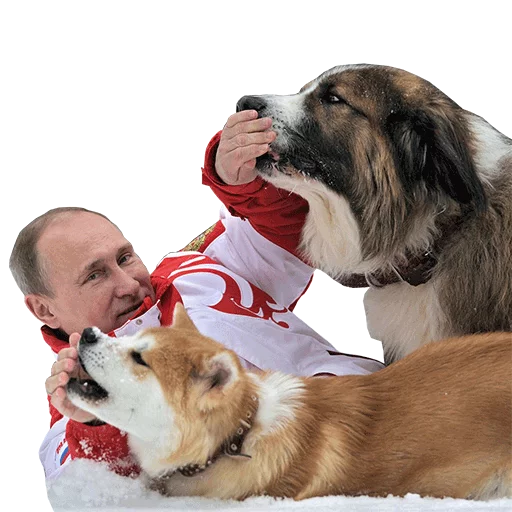 🐺 Стикер «Vladimir Putin» для Telegram