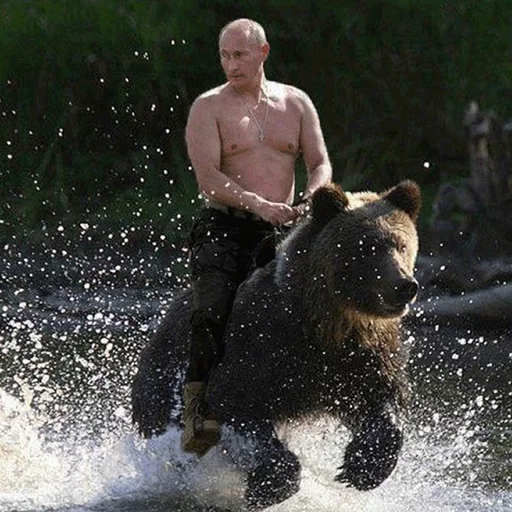 🐻 Стикер «Vladimir Putin» для Telegram